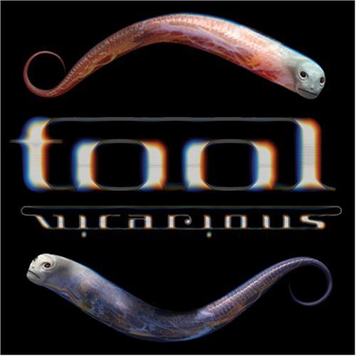 Vicarious