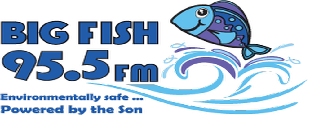 stationCallSign