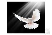 iOnLive Radio Station and AM/FM Broadcasting Worldwide