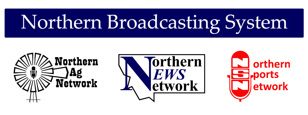 NBSI Station Logo