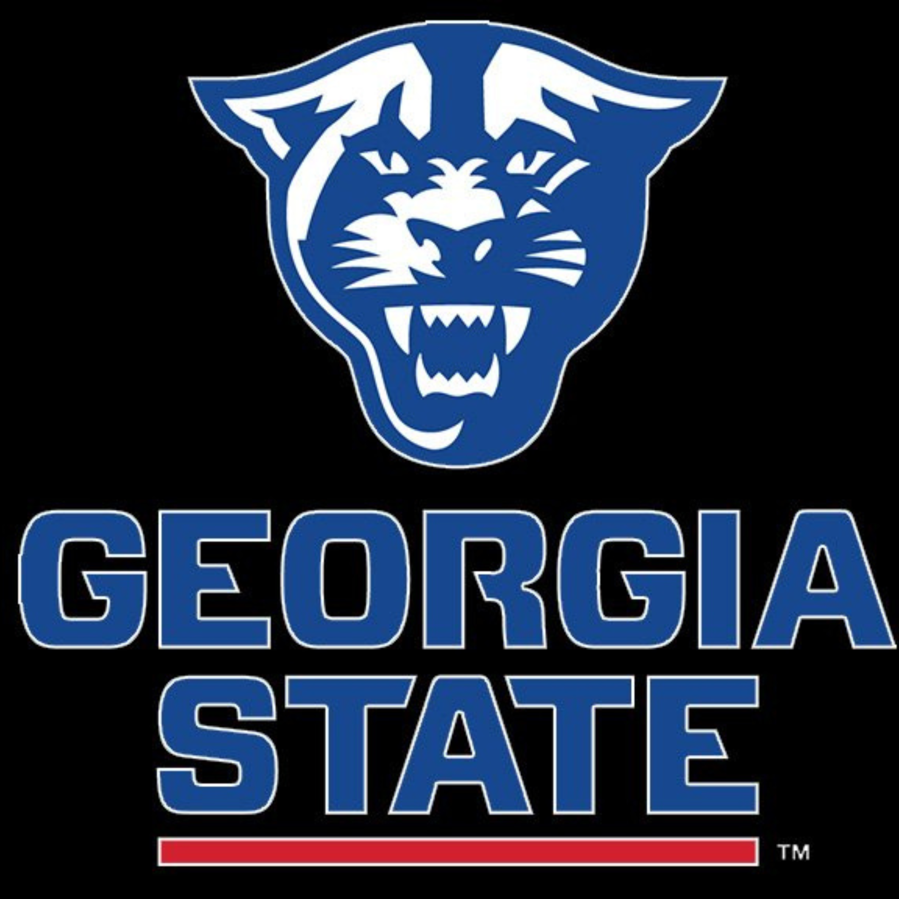 Georgia State Baseball