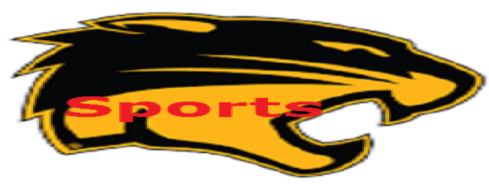 WSYL2 Station Logo