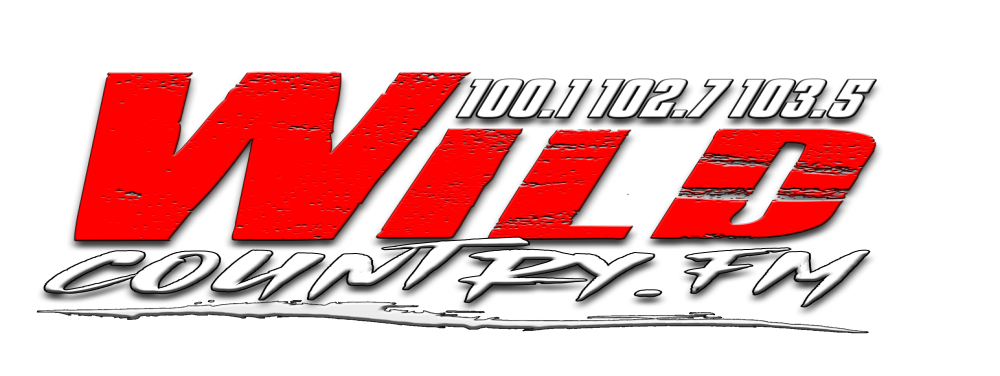 WVNV station logo