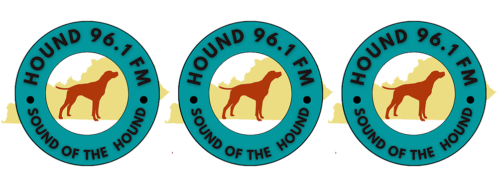 WZNN station logo